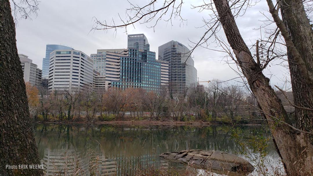 Arlington from Roosevelt Island