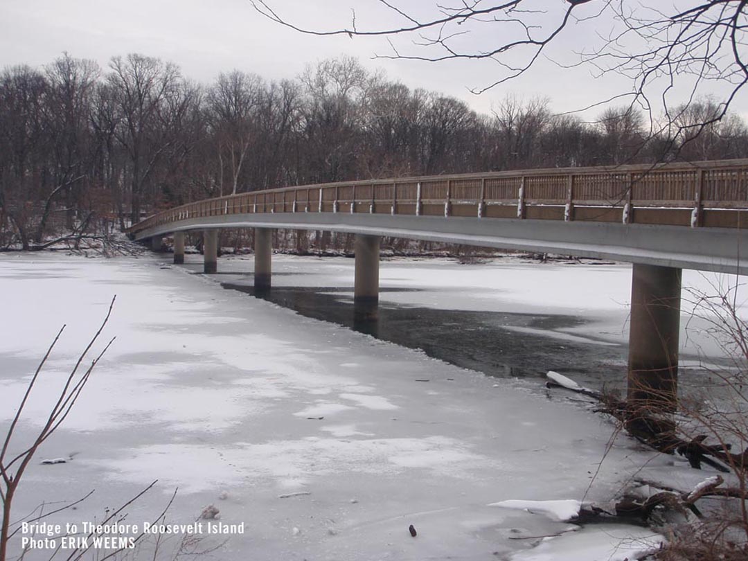 SNow on the bridge to Theodore Roosevelt Island