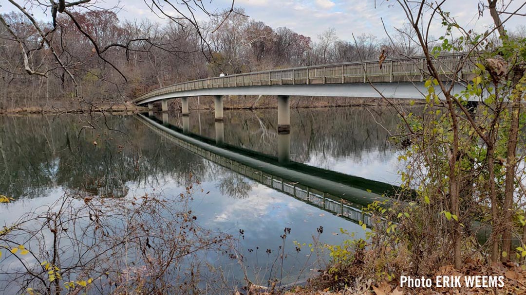 Roosevelt Island Bridge in Autumn