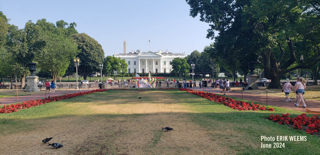 White House White House