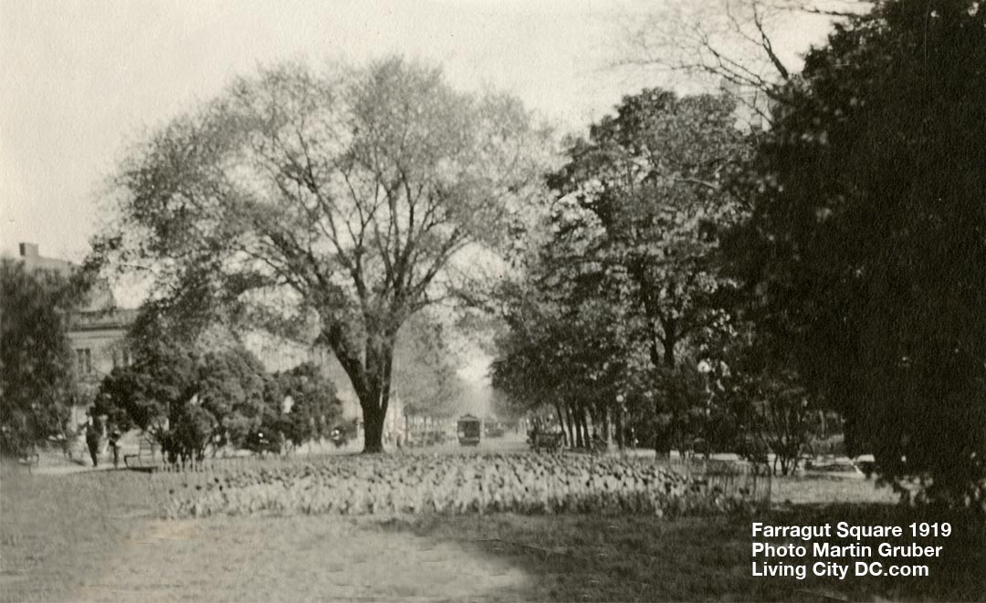 1919 Farragut Square Washington DC 1919 Farragut Square Washington DC