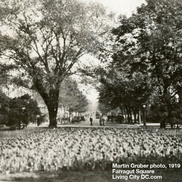 1919 Farragut Square photo by Martin Gruber 1919 Farragut Square photo by Martin Gruber