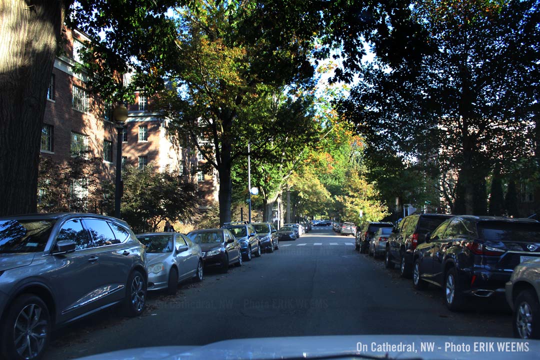 On Cathedral NW in DC - click image to enlarge the photo On Cathedral NW in DC