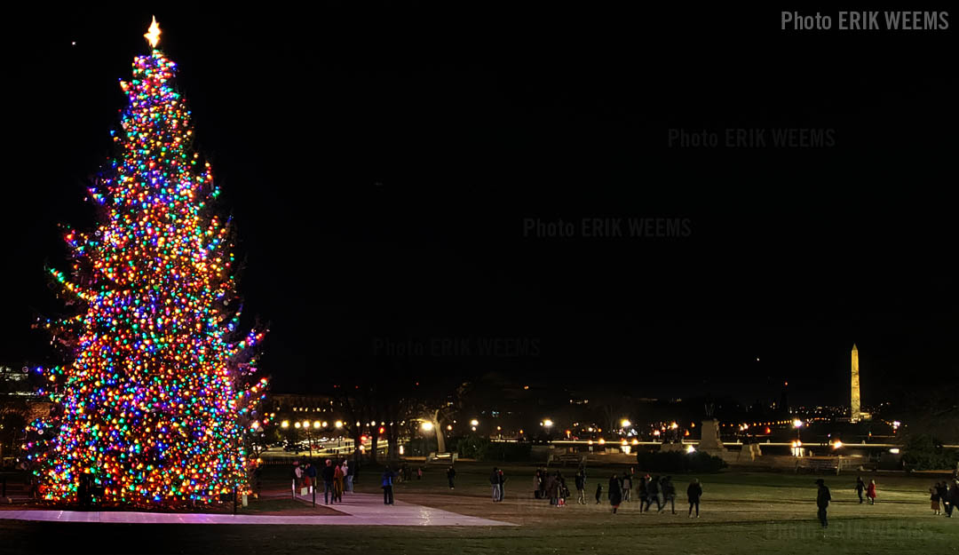 Click to enlarge - Congressional Christmas Tree and the Washington Monument Congressional Christmas Tree and the Washington Monument