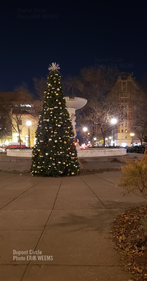 Click image to enlarge - Dupont Circle Christmas Tree Dupont Circle Christmas Tree