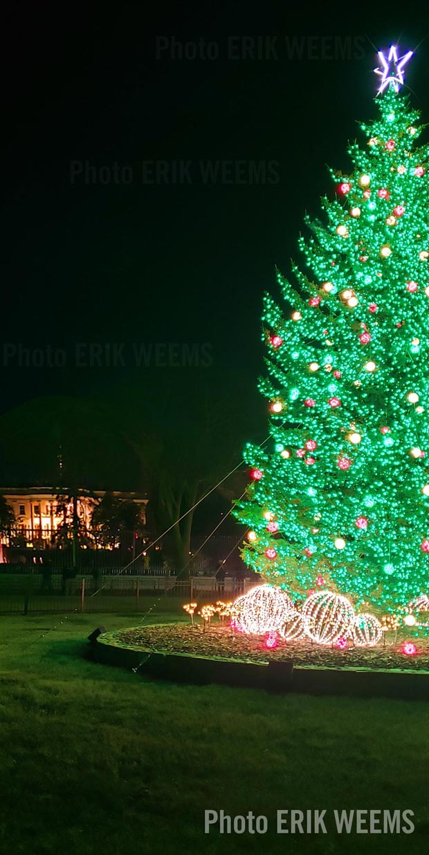 Click to enlarge - Outside the White House the Annual Christmas Tree Outside the White House the Annual Christmas Tree