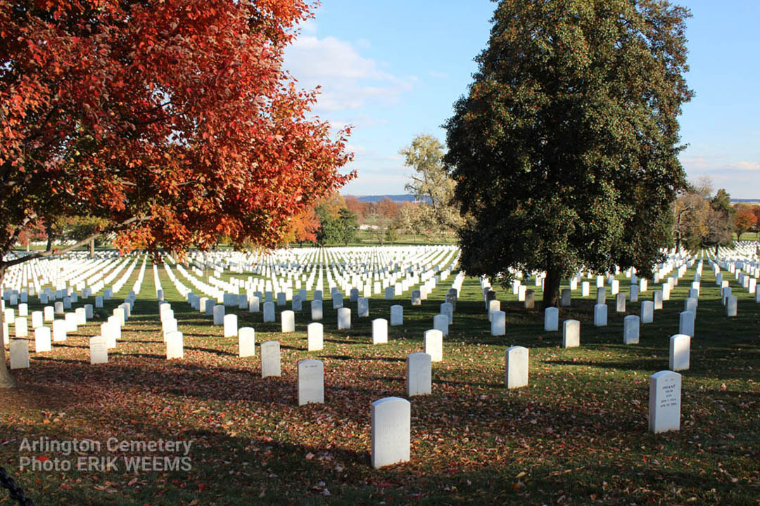 Arlington Cemetery