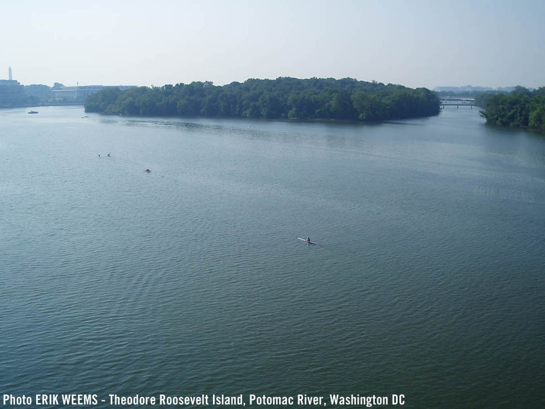 Theodore Roosevelt Island - Washington DC