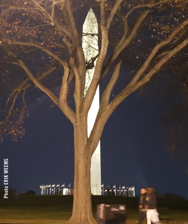 Washington Monument at Night