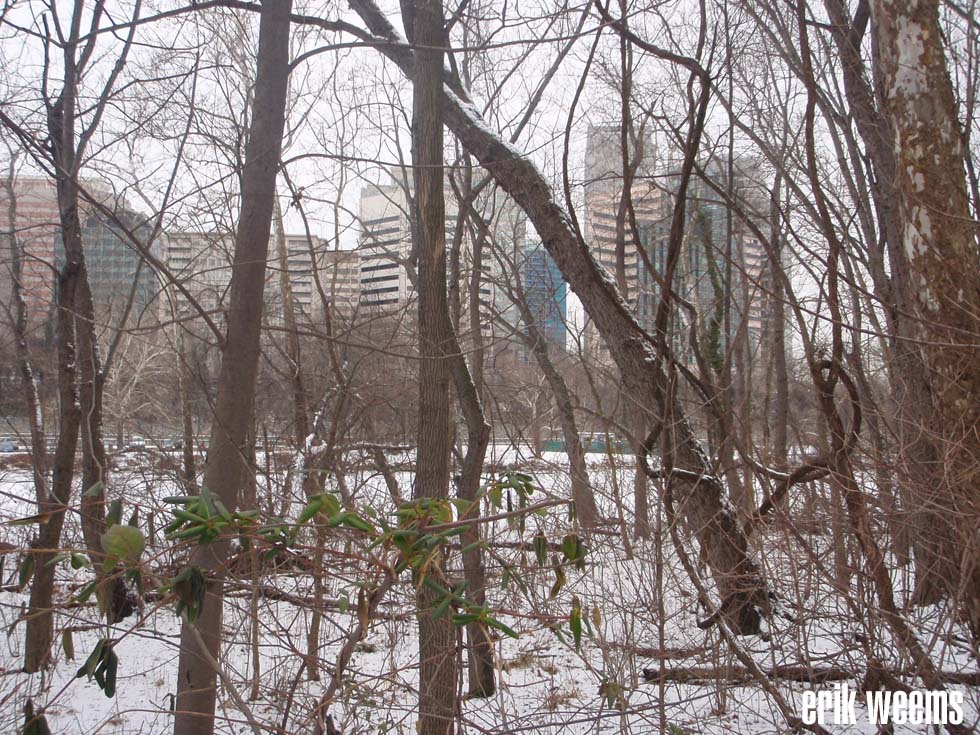 SNow on Roosevelt Island