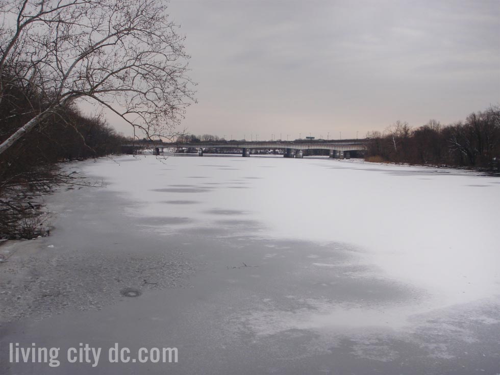 West Side Roosevelt Island on Potomac in Washington DC