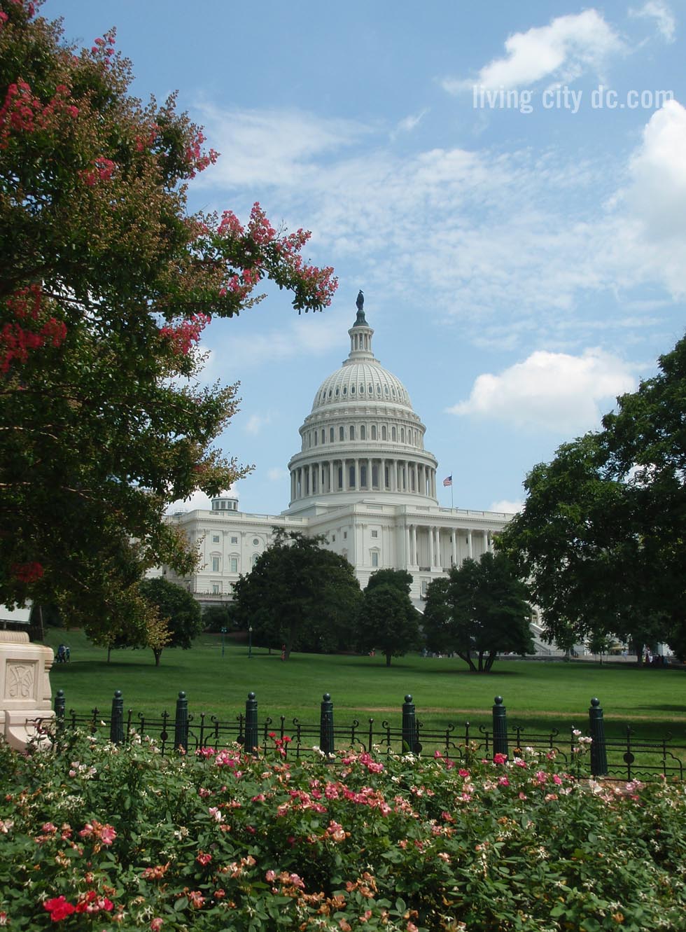 Capitol Dome July 2013 - Washington DC