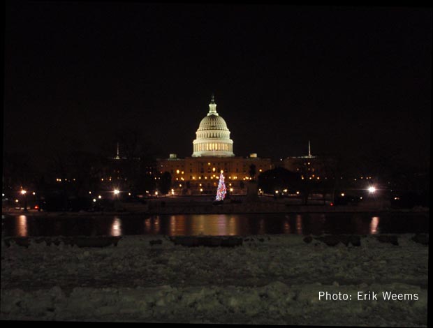 Capital Dome Christmas Tree - night time snow