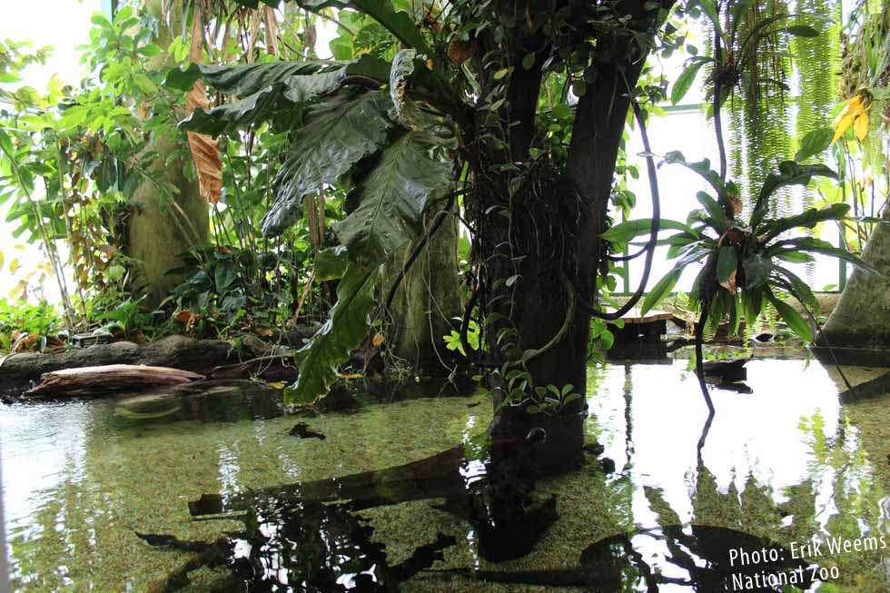 Amazonia National Zoo