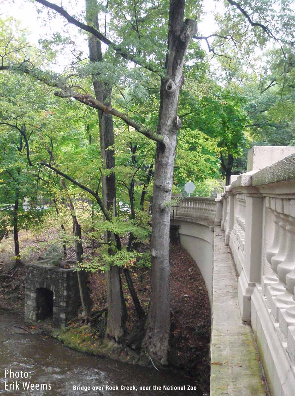 National Zoo Drive