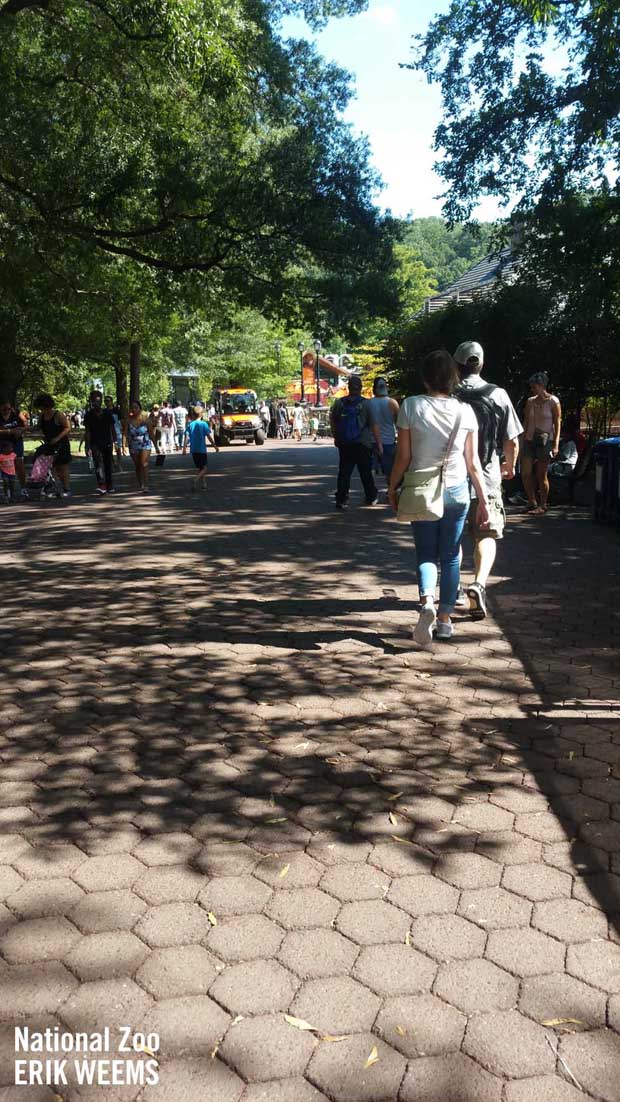 At the National Zoo