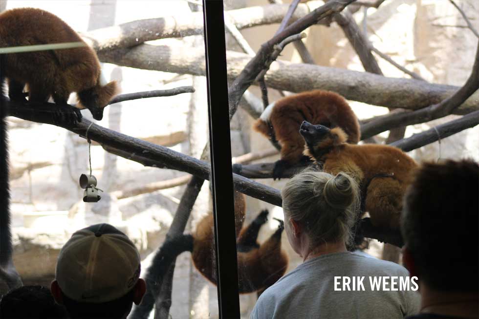 National Zoo Washington DC Erik Weems