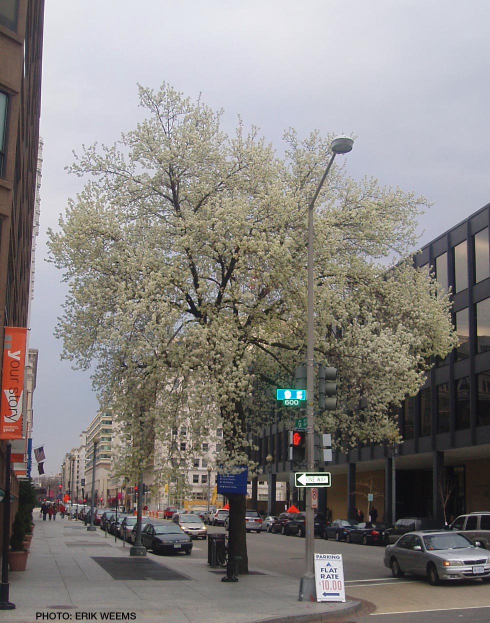 9th and G Streets DC
