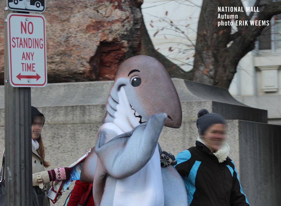 Shark on the National Mall Washington DC