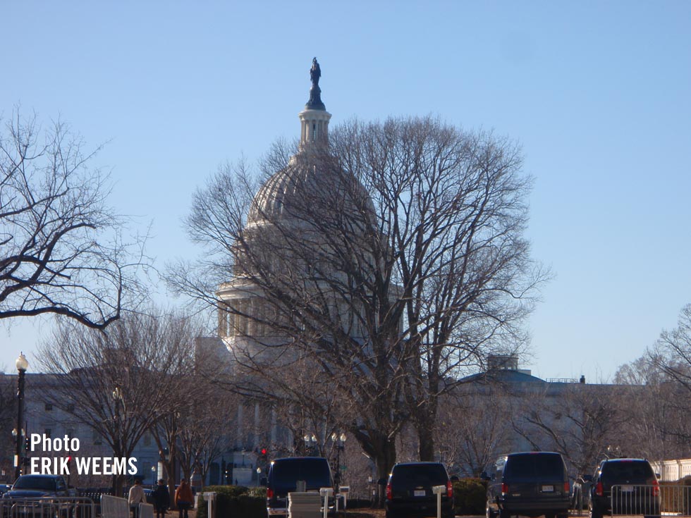 Late Autumn Capitol Dome