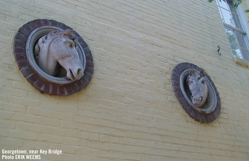 Sculpted carved horse heads in Georgetown