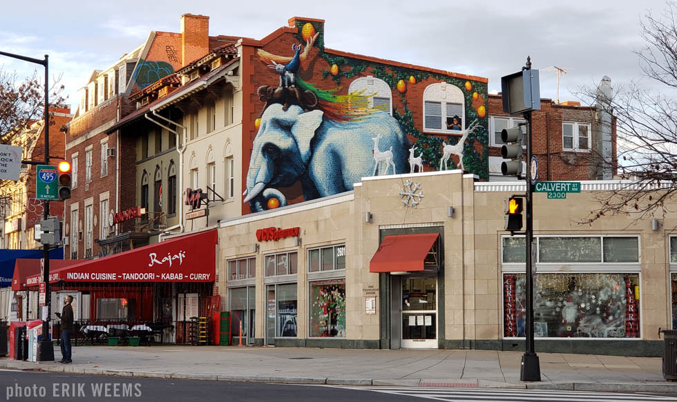 Woodley Park Elephant Painting Mural