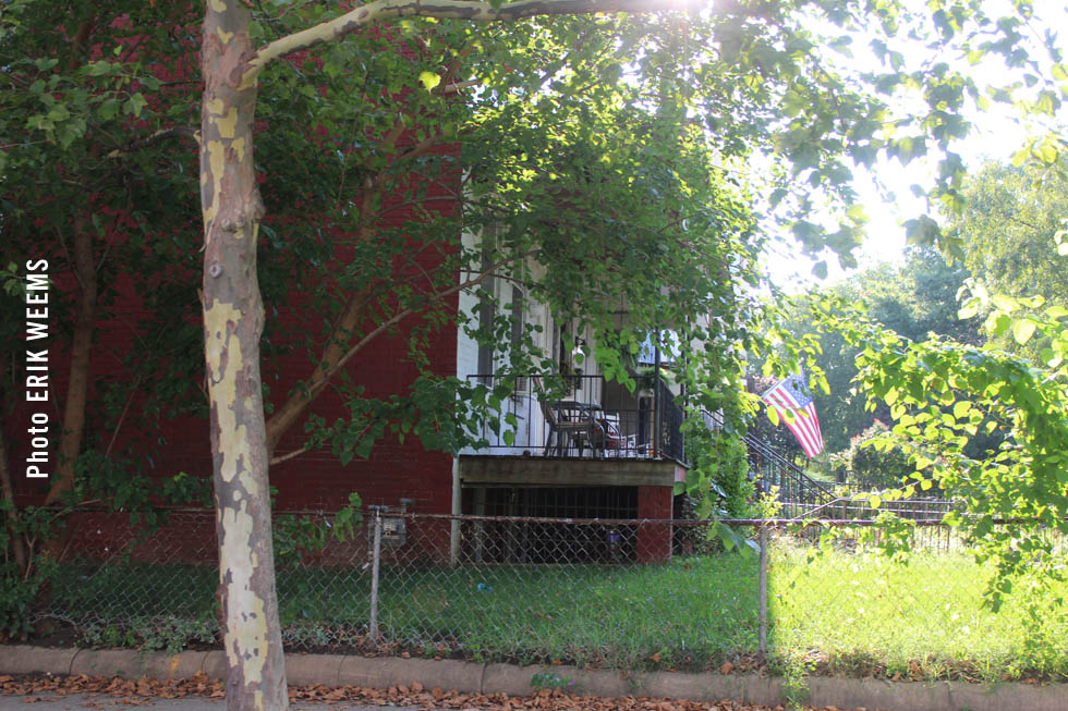 Flag along 6th Street