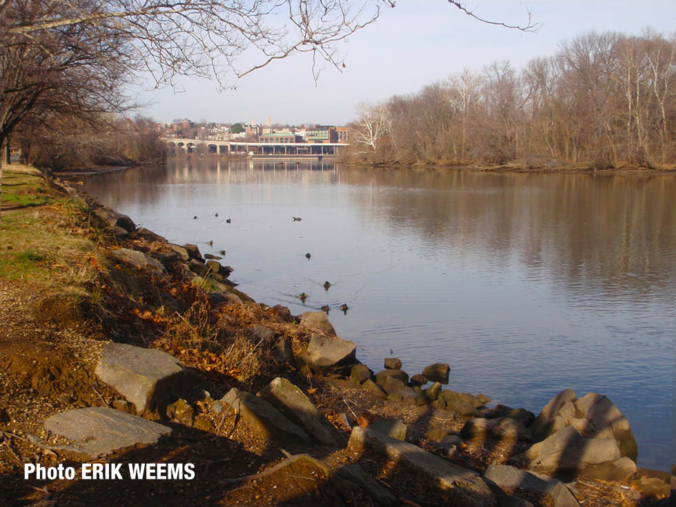 Key Bridge and Whitehurst Freeway in Georgetown