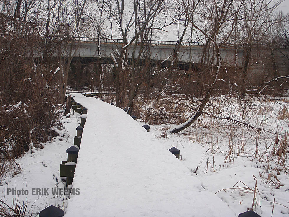 Roosevelt Bridge DC - in the snow