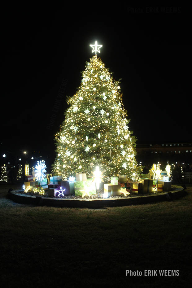 Christmas Tree at the White House 2022 Christmas Tree at the White House 2022