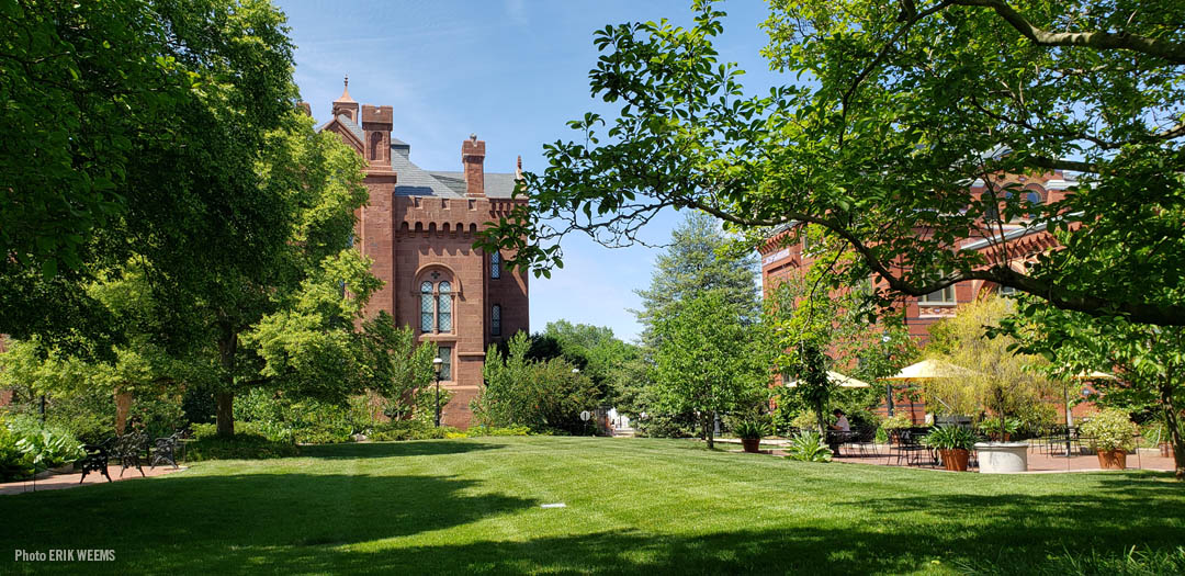 The green lawn of the Enid Haupt Garden The green lawn of the Enid Haupt Garden