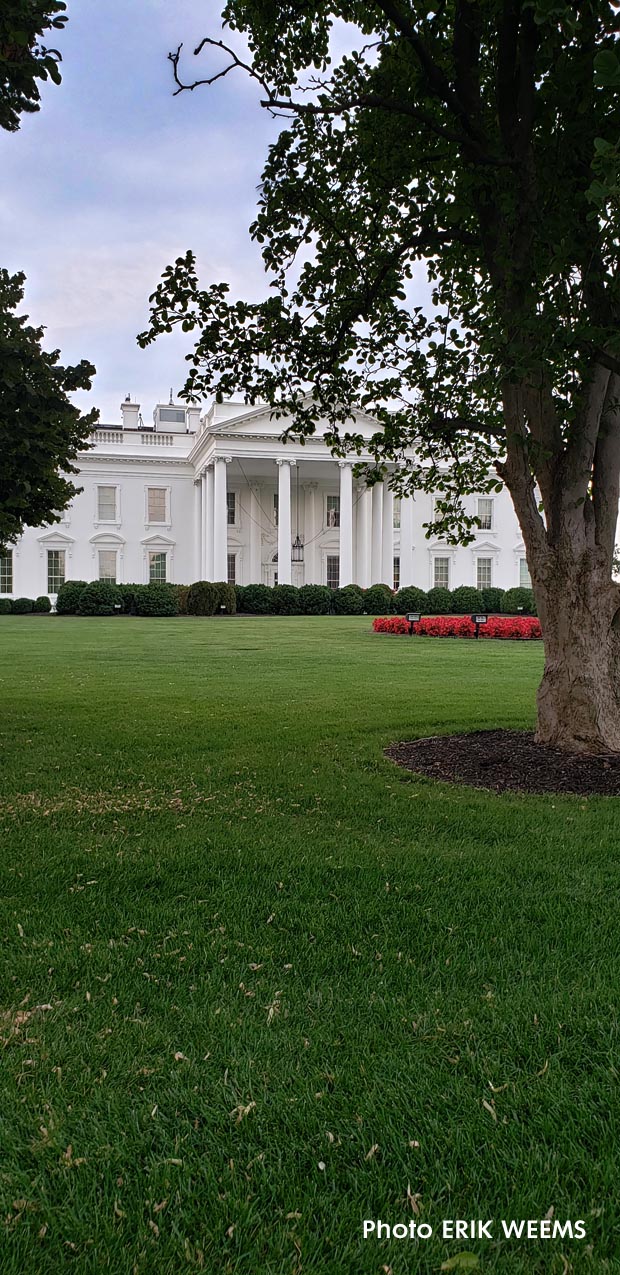 The White House