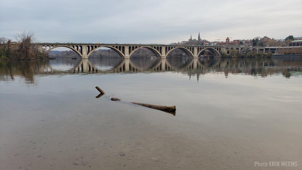 Key Bridge view from Roosevelt Island